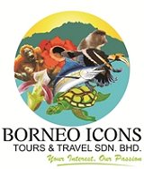 Borneo Icons