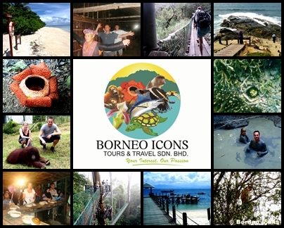 Borneo