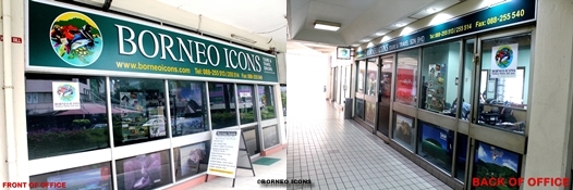 Borneo Icons